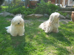 Querida und ihre Tochter Emilia