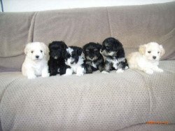 i158192486_62644_31_1