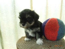 i158192850_39824_31_1