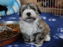 queenyinmeinembett424_1