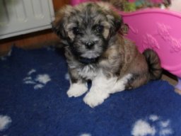 queenyinmeinembett505_1