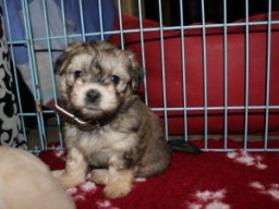 requalbilderonlineshop046_1