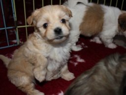 requalbilderonlineshop065_1