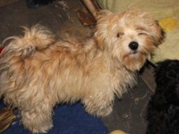 requalbilderonlineshop112_1