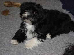 requalbilderonlineshop142_1