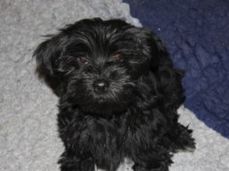 requalbilderonlineshop252_1