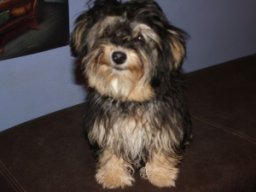 requalbilderonlineshop292_1